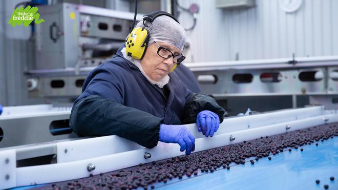 一根胡萝卜的奇幻之旅 小皮以铁路运输践行ESG，为下一代守护绿色地球