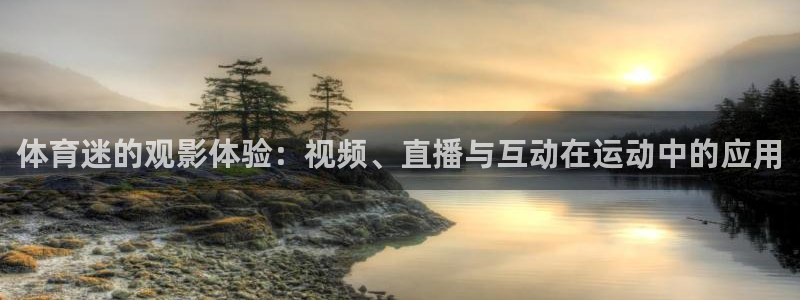V体育网站入口登录：体育迷的观影体验：视频、直播与互动在运动中的应用