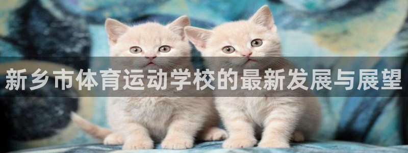 V体育首页登录入口：新乡市体育运动学校的最新发展与展望