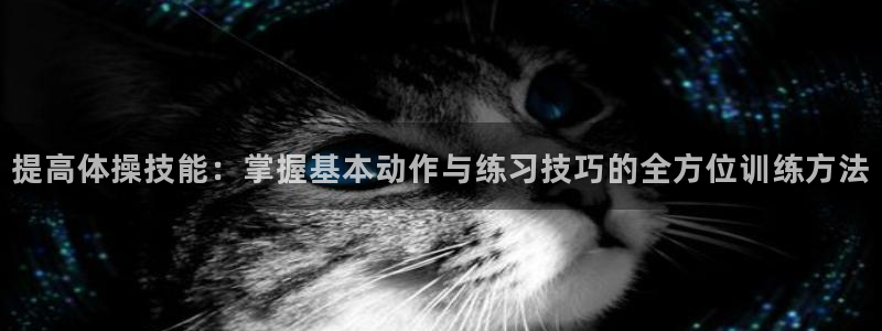 v体育：提高体操技能：掌握基本动作与练习技巧的全方位训练方法