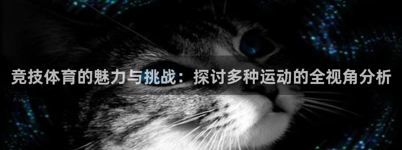 V体育-VSport：竞技体育的魅力与挑战：探讨多种运动的全视角分析